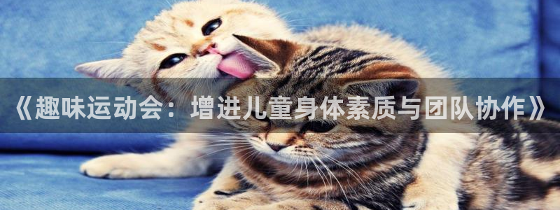 球王会体育