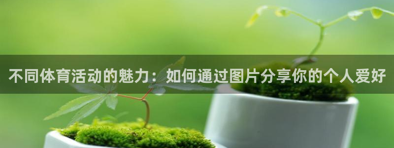 球王会体育
