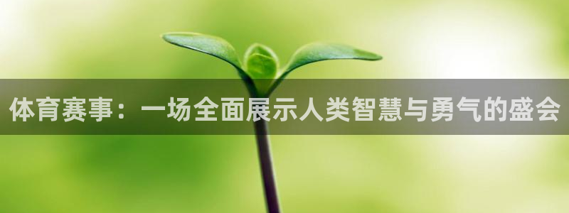 球王会体育