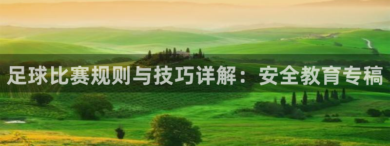 球王会体育