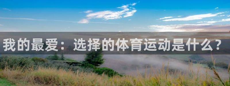 球王会体育