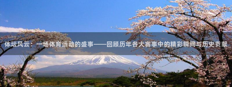 球王会体育