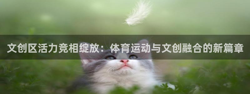 球王会体育