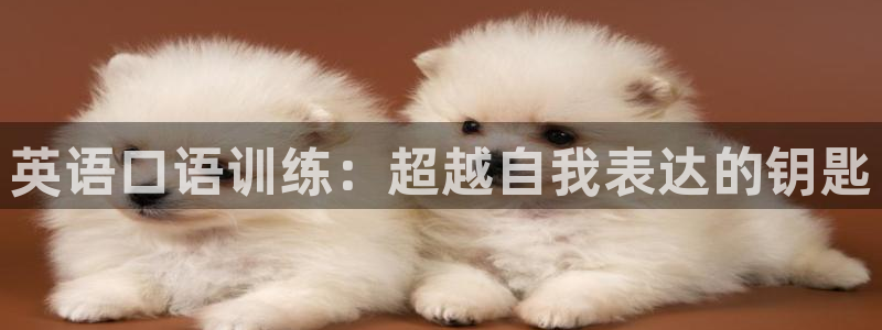 球王会体育