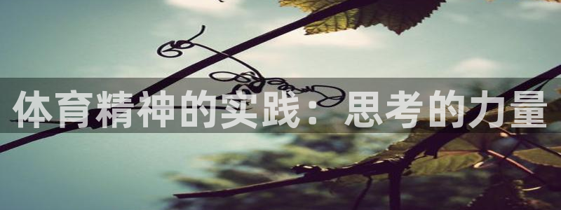 球王会体育