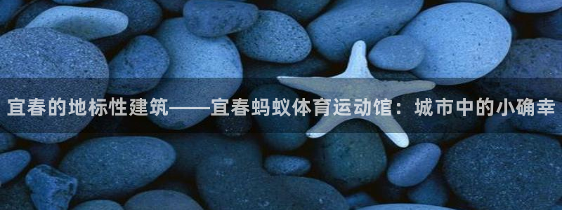 球王会体育