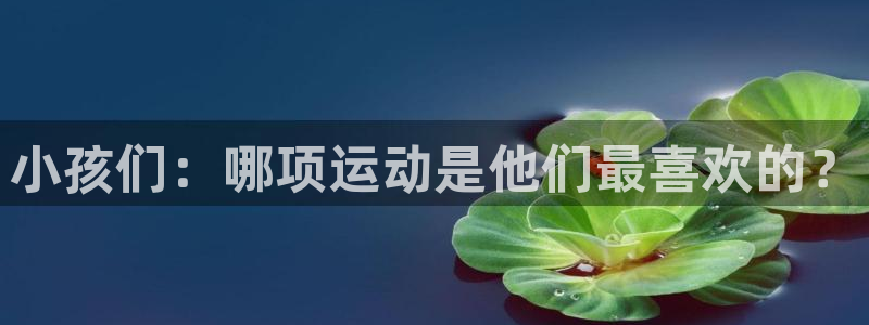 球王会体育