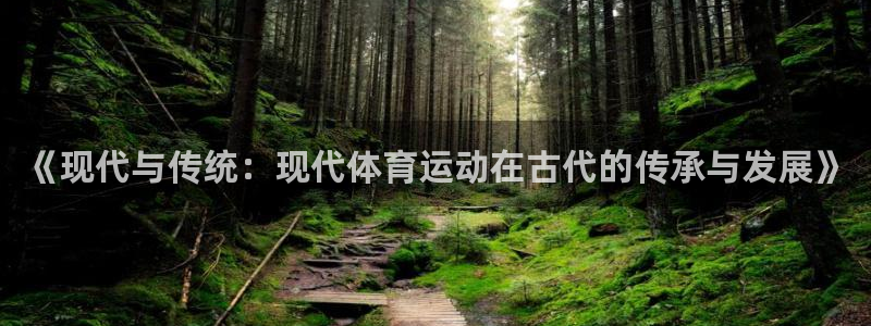 球王会体育