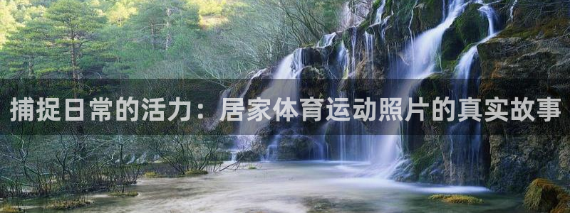 球王会体育