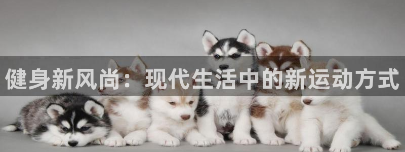 球王会体育