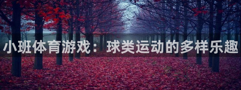 球王会体育