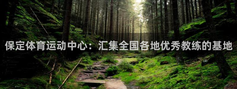 球王会体育