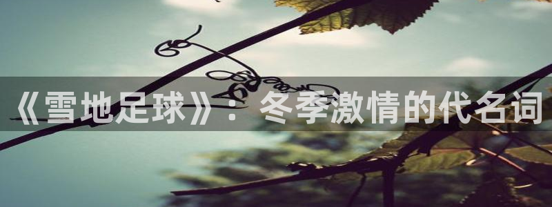 球王会体育