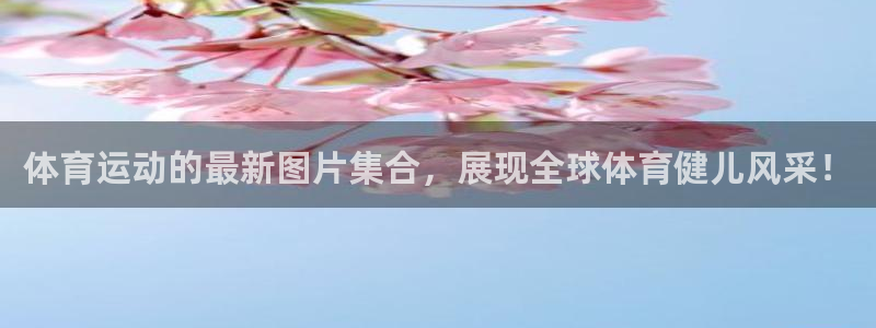 球王会体育