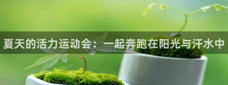 球王会体育