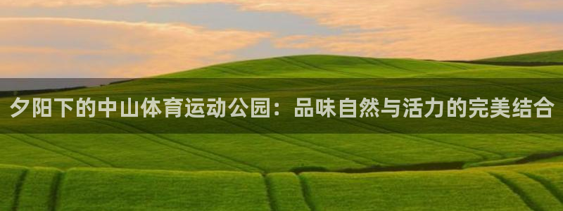 球王会体育