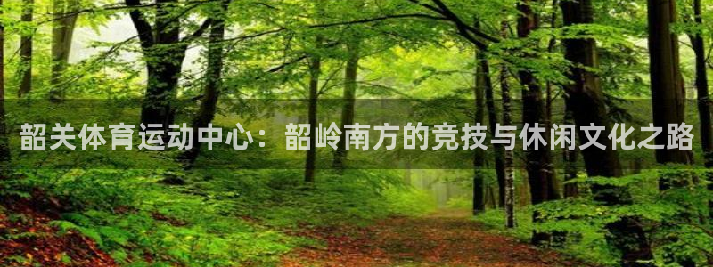 球王会体育