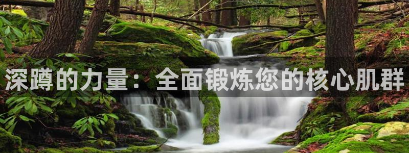 球王会体育