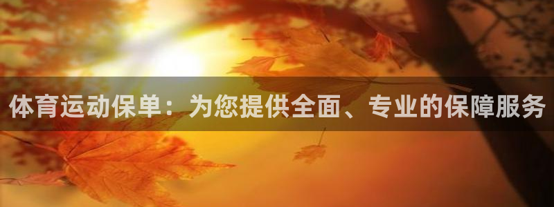 球王会体育